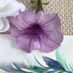 The deep violet veins in this petunia are just speaking to me. Look at the detail.