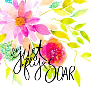 Don't Just Fly Soar Art