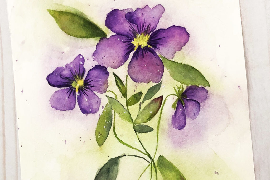 Painting violas in watercolor