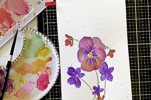 sketchbook pansies in watercolor