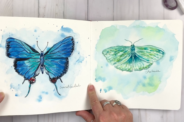 Butterflies in Watercolor
