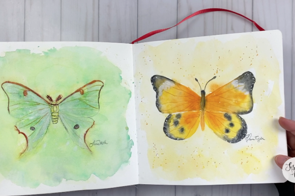 Butterflies in Sketchbook