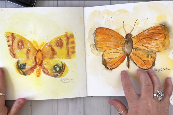 Butterflies in Watercolor