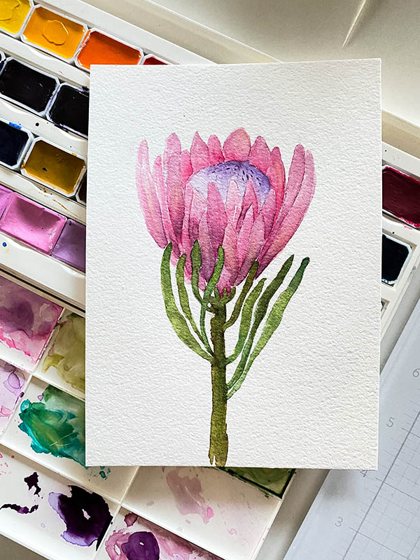 Protea Flower in Watercolor