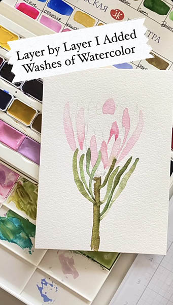 Protea in Watercolor 